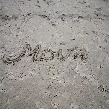 Tomke - Kolk 30 נורדייך