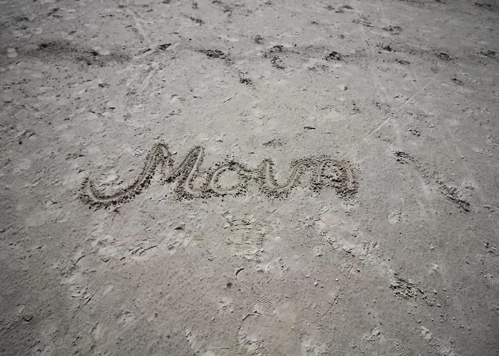 Tomke - Kolk 30 Norddeich (Norden)